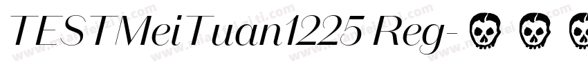 TESTMeiTuan1225 Reg字体转换